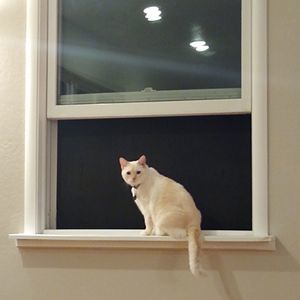 Meet your Posher, Brian